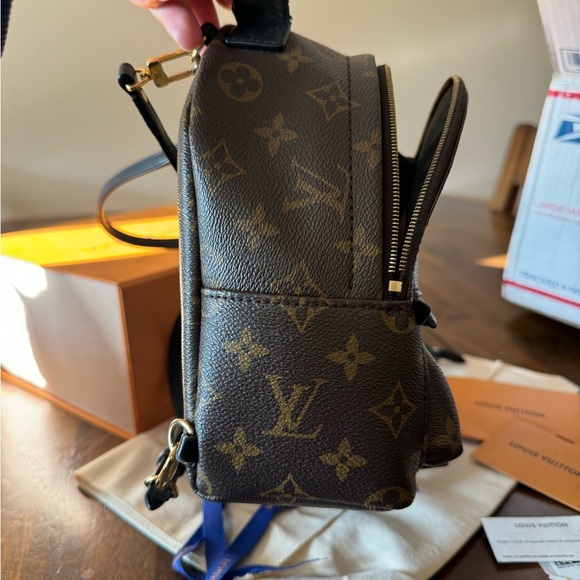 Louis Vuitton Palm Springs PM - Picture 12 of 15